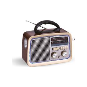 PoloSmart FS49 El Fenerli Sunny Wood FM Radyo