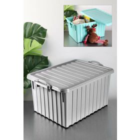 Poly Time E641 40 lt Çok Amaçlı Renkli Sandık