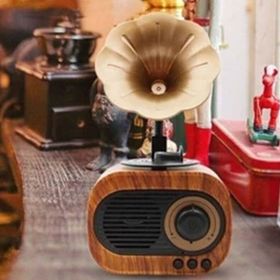 Polygold B5 Nostaljik Gramafon Tasarım Yüksek Ses Kaliteli Mini Bluetooth Hoparlör