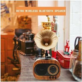 Polygold B5 Nostaljik Mini Gramofon Bluetooth Speaker