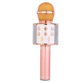 Polygold WS-858 Karaoke Kablosuz Mikrofon Bluetooth Hoparlör