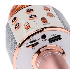 Polygold WS-858 Karaoke Kablosuz Mikrofon Bluetooth Hoparlör