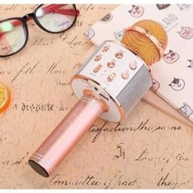 Polygold WS-858 Karaoke Kablosuz Mikrofon Bluetooth Hoparlör