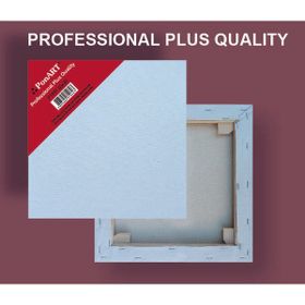 Ponart 20X20 cm Profesyonel Plus Tuval