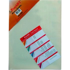 Ponart 30X40 cm Basics Seri Tuval