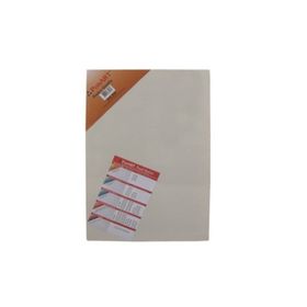 Ponart 35X50 cm Basics Seri Tuval
