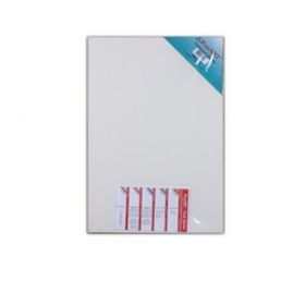 Ponart A3 Universal Tuval