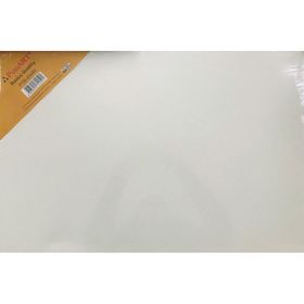 Ponart Basics Quality Tuval