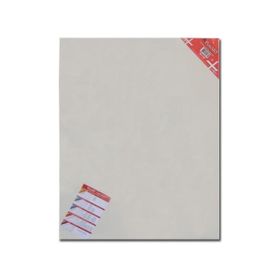 Ponart Profesyonel A Plus Kalın Şase 30x100 cm Tuval