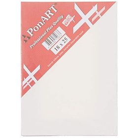 Ponart Profesyonel Plus 18x25 cm Tuval
