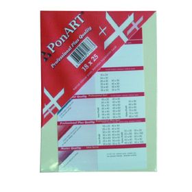 Ponart Profesyonel Plus 18x25 cm Tuval
