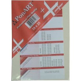 Ponart Profesyonel Plus 18x25 cm Tuval