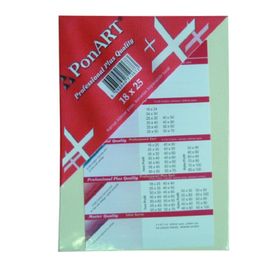 Ponart Profesyonel Plus 18x25 cm Tuval
