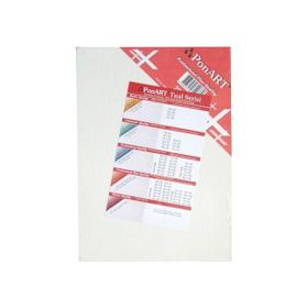 Ponart Profesyonel Plus 20x40 cm Tuval