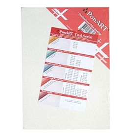 Ponart Profesyonel Plus 20x40 cm Tuval