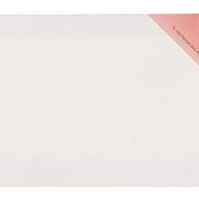 Ponart Profesyonel Plus 25x50 cm Tuval