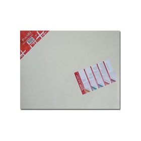 Ponart Profesyonel Plus 45x70 cm Tuval