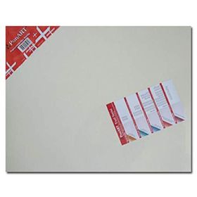 Ponart Profesyonel Plus 45x70 cm Tuval