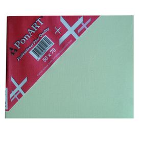 Ponart Profesyonel Plus 50x70 cm Tuval