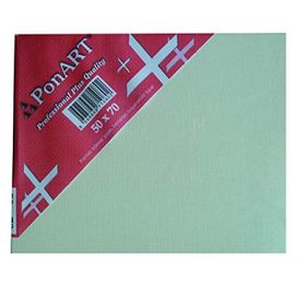 Ponart Profesyonel Plus 50x70 cm Tuval
