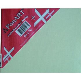 Ponart Profesyonel Plus 50x70 cm Tuval