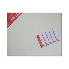 Ponart Profesyonel Plus Kalın Şase 30x80 cm Tuval