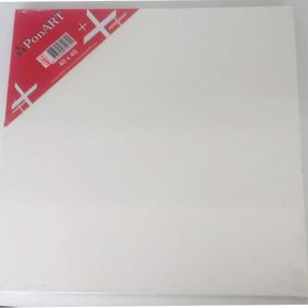 Ponart PTB-40X40 40X40 cm Basics Seri Tuval