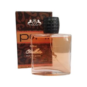 Poni Chocolate EDT 90 ml Erkek Parfüm