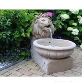 Poolline King Lion Aslan Başlı Süs Havuzu Seti