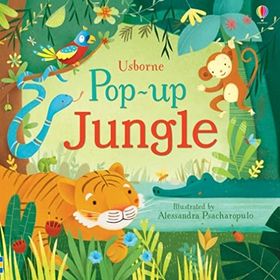 Pop-Up Jungle-Usborne