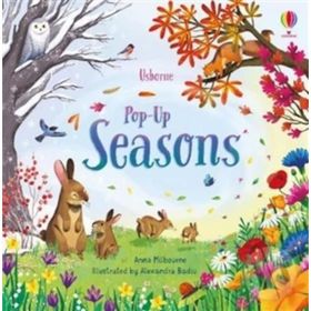 Pop Up Seasons-Usborne Publishing