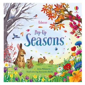Pop Up Seasons-Usborne Publishing