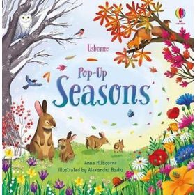 Pop Up Seasons-Usborne Publishing