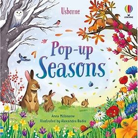 Pop Up Seasons-Usborne Publishing