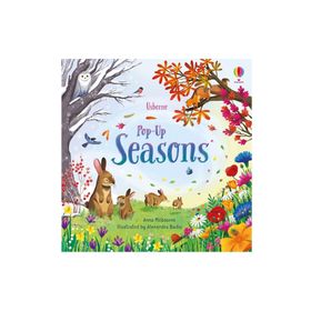 Pop Up Seasons-Usborne Publishing