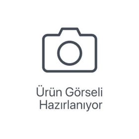POPÜLER RESIMLI FRANSIZCA SÖZLÜK - DILEK GÖKMEN