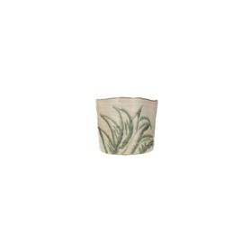 Porland Aloe 13x11 cm Saksı