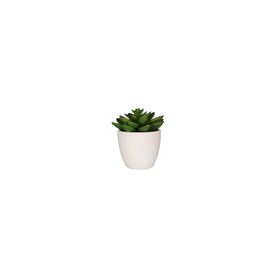 Porland Aloe Vera 10 cm Mini Yapay Bitki