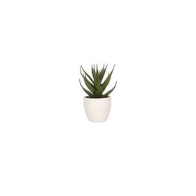 Porland Aloe Vera 15 cm 6 Adet Mini Yapay Bitki