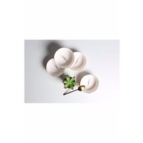 Porland Botanical 4'lü 12 cm Kase Takımı