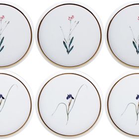 Porland Botanical 6 Kişilik 21 cm Pasta Takım