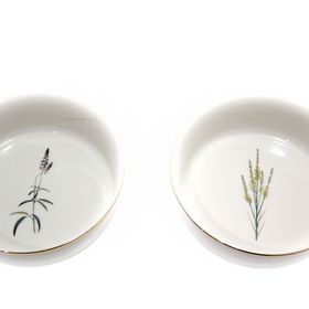 Porland Botanıcal Desen 16 cm 2li Kase Seti