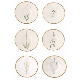 Porland Botanical Karma Desen 11 cm 6'lı Çay Tabağı