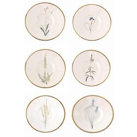 Porland Botanical Karma Desen 11 cm 6'lı Çay Tabağı