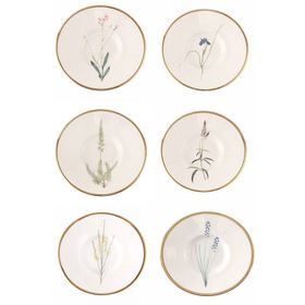 Porland Botanical Karma Desen 11 cm 6'lı Çay Tabağı