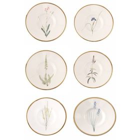 Porland Botanical Karma Desen 11 cm 6'lı Çay Tabağı
