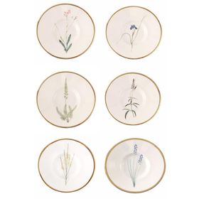 Porland Botanical Karma Desen 11 cm 6'lı Çay Tabağı