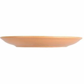 Porland Ethos Danshari Earth 21 cm Düz Tabak