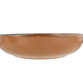 Porland Lykke 26 cm 6 Adet Kahverengi Kase