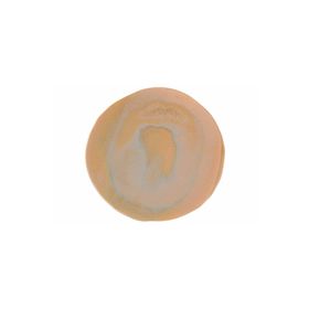 Porland Stoneware Savanna 30 cm Düz Tabak